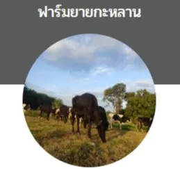 ยายกะหลานฟาร์ม - รูปภาพ 1